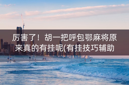 厉害了！胡一把呼包鄂麻将原来真的有挂呢(有挂技巧辅助器)