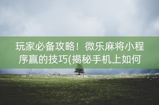 玩家必备攻略！微乐麻将小程序赢的技巧(揭秘手机上如何让牌变好)