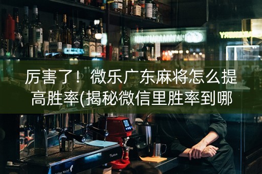厉害了！微乐广东麻将怎么提高胜率(揭秘微信里胜率到哪调)