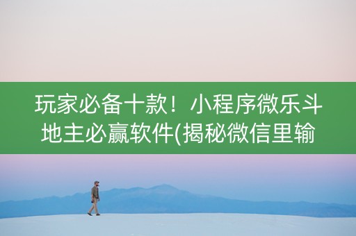 玩家必备十款！小程序微乐斗地主必赢软件(揭秘微信里输赢技巧)