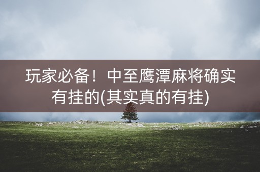 玩家必备！中至鹰潭麻将确实有挂的(其实真的有挂)