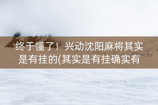 终于懂了！兴动沈阳麻将其实是有挂的(其实是有挂确实有挂)