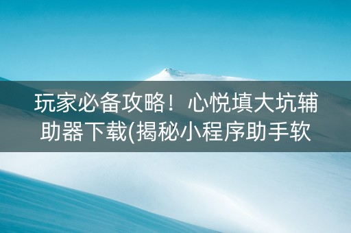 玩家必备攻略！心悦填大坑辅助器下载(揭秘小程序助手软件)