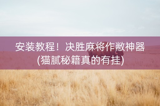 安装教程！决胜麻将作敝神器(猫腻秘籍真的有挂)
