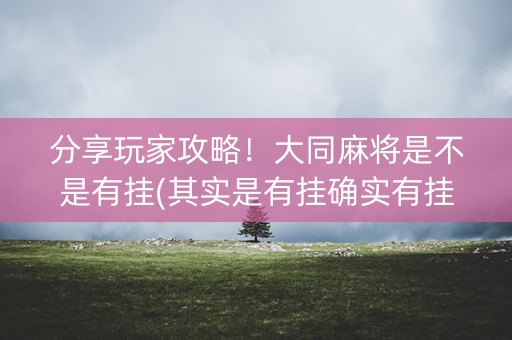 分享玩家攻略！大同麻将是不是有挂(其实是有挂确实有挂)