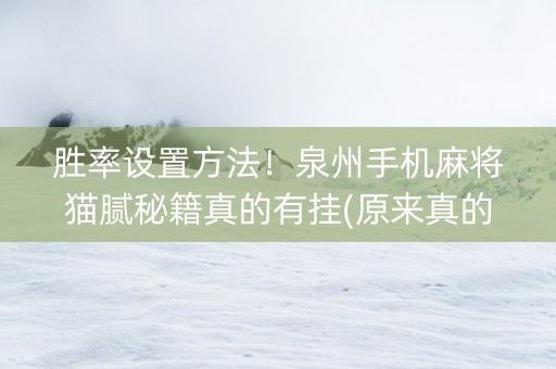 胜率设置方法！泉州手机麻将猫腻秘籍真的有挂(原来真的有挂)