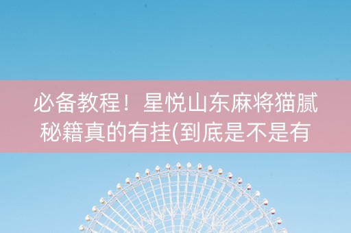 必备教程！星悦山东麻将猫腻秘籍真的有挂(到底是不是有挂)