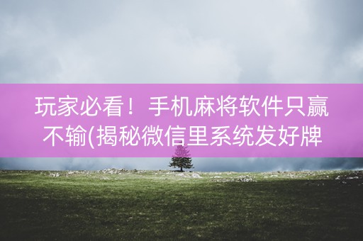 玩家必看！手机麻将软件只赢不输(揭秘微信里系统发好牌)