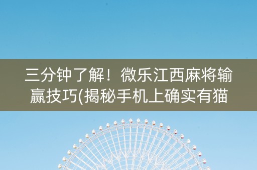三分钟了解！微乐江西麻将输赢技巧(揭秘手机上确实有猫腻)