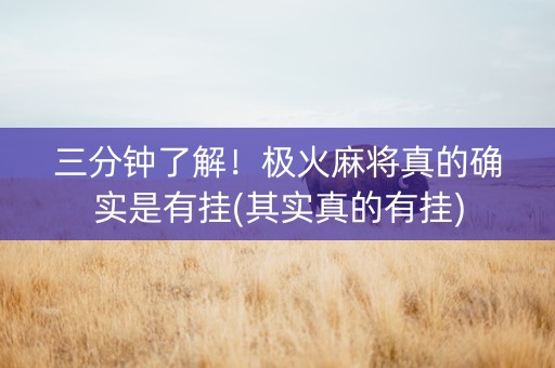 三分钟了解！极火麻将真的确实是有挂(其实真的有挂)