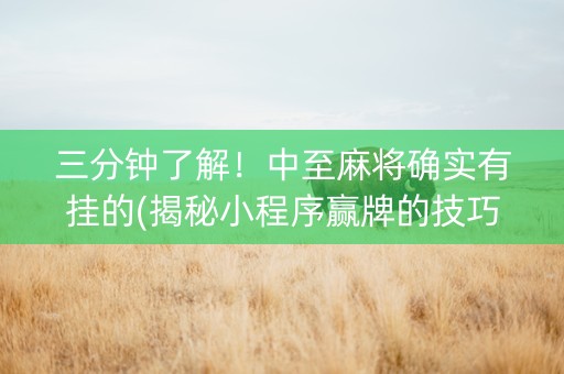 三分钟了解！中至麻将确实有挂的(揭秘小程序赢牌的技巧)