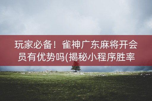 玩家必备！雀神广东麻将开会员有优势吗(揭秘小程序胜率到哪调)