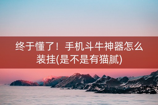 终于懂了！手机斗牛神器怎么装挂(是不是有猫腻)
