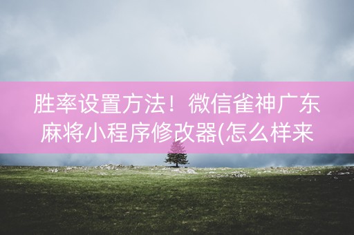 胜率设置方法！微信雀神广东麻将小程序修改器(怎么样来好牌)