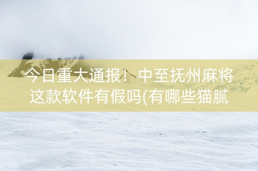 今日重大通报！中至抚州麻将这款软件有假吗(有哪些猫腻)
