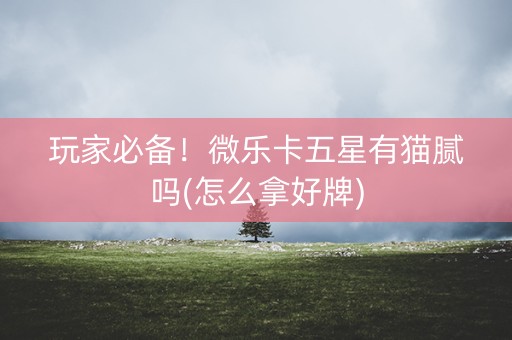 玩家必备！微乐卡五星有猫腻吗(怎么拿好牌)
