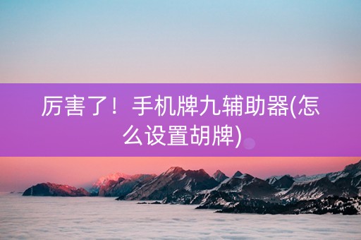 厉害了！手机牌九辅助器(怎么设置胡牌)