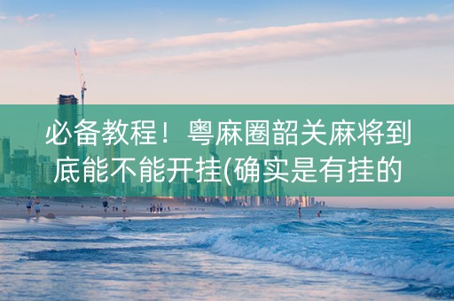 必备教程！粤麻圈韶关麻将到底能不能开挂(确实是有挂的)