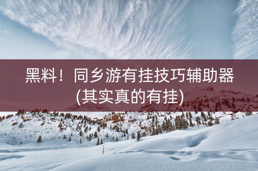 黑料！同乡游有挂技巧辅助器(其实真的有挂)