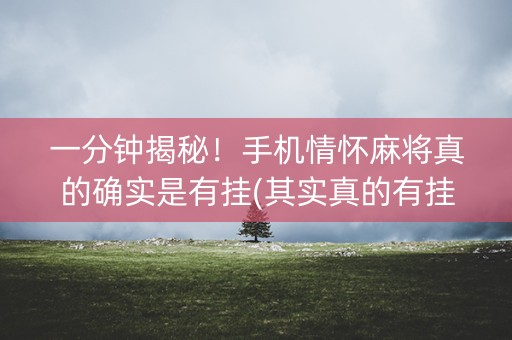 一分钟揭秘！手机情怀麻将真的确实是有挂(其实真的有挂)