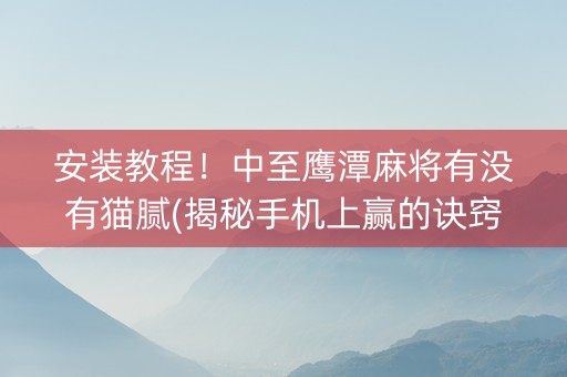 安装教程！中至鹰潭麻将有没有猫腻(揭秘手机上赢的诀窍)