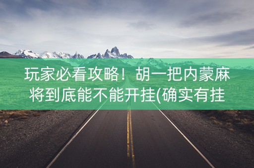 玩家必看攻略！胡一把内蒙麻将到底能不能开挂(确实有挂)