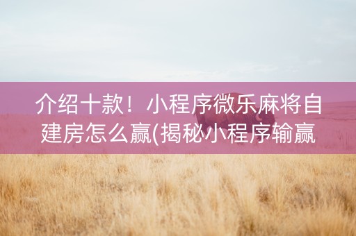 介绍十款！小程序微乐麻将自建房怎么赢(揭秘小程序输赢技巧)