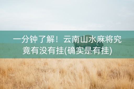 一分钟了解！云南山水麻将究竟有没有挂(确实是有挂)