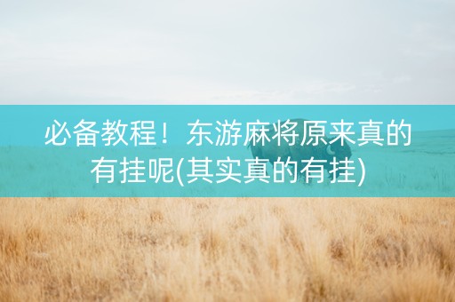 必备教程！东游麻将原来真的有挂呢(其实真的有挂)