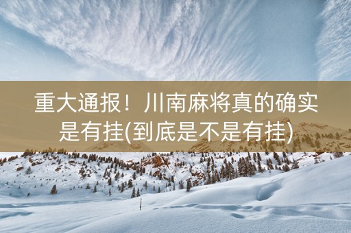 重大通报！川南麻将真的确实是有挂(到底是不是有挂)