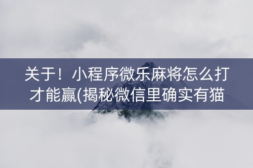 关于！小程序微乐麻将怎么打才能赢(揭秘微信里确实有猫腻)
