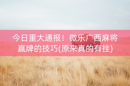 今日重大通报！微乐广西麻将赢牌的技巧(原来真的有挂)