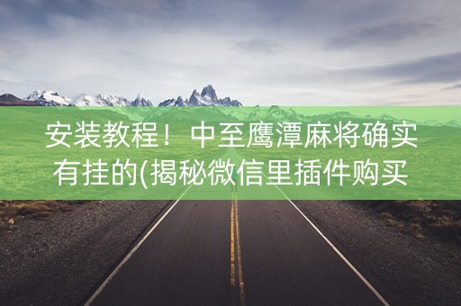 安装教程！中至鹰潭麻将确实有挂的(揭秘微信里插件购买)