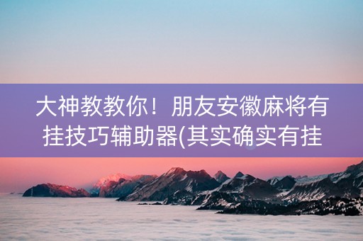 大神教教你！朋友安徽麻将有挂技巧辅助器(其实确实有挂)