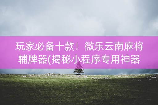 玩家必备十款！微乐云南麻将辅牌器(揭秘小程序专用神器)