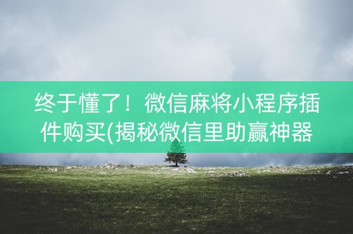 终于懂了！微信麻将小程序插件购买(揭秘微信里助赢神器)