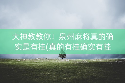大神教教你！泉州麻将真的确实是有挂(真的有挂确实有挂)