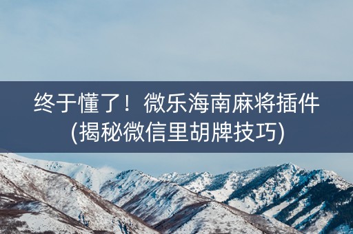 终于懂了！微乐海南麻将插件(揭秘微信里胡牌技巧)