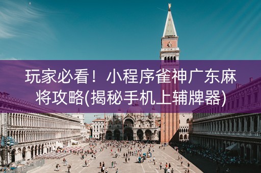 玩家必看！小程序雀神广东麻将攻略(揭秘手机上辅牌器)