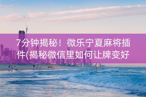 7分钟揭秘！微乐宁夏麻将插件(揭秘微信里如何让牌变好)
