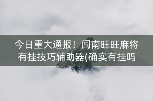 今日重大通报！闽南旺旺麻将有挂技巧辅助器(确实有挂吗)