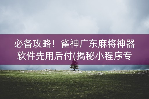 必备攻略！雀神广东麻将神器软件先用后付(揭秘小程序专用神器下载)