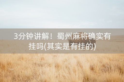 3分钟讲解！蜀州麻将确实有挂吗(其实是有挂的)