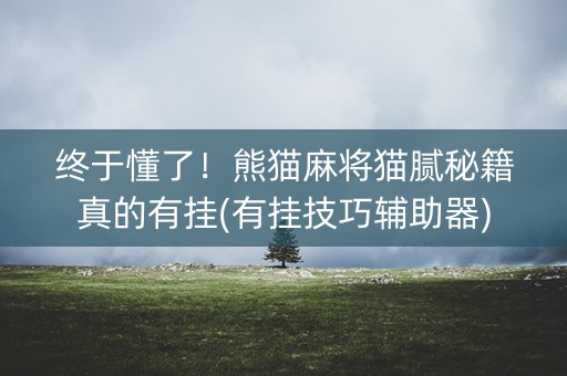 终于懂了！熊猫麻将猫腻秘籍真的有挂(有挂技巧辅助器)