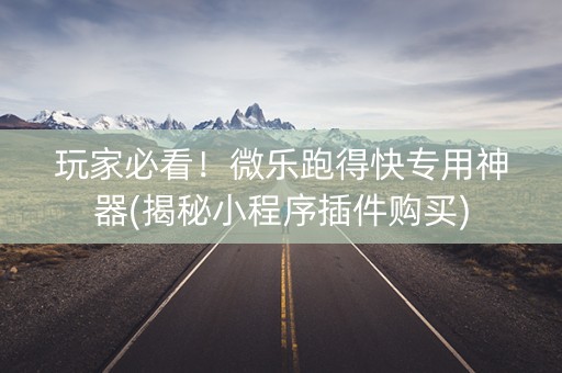 玩家必看！微乐跑得快专用神器(揭秘小程序插件购买)