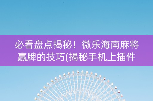 必看盘点揭秘！微乐海南麻将赢牌的技巧(揭秘手机上插件购买)