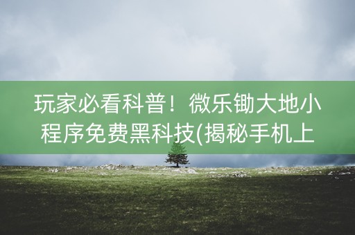玩家必看科普！微乐锄大地小程序免费黑科技(揭秘手机上插件购买)