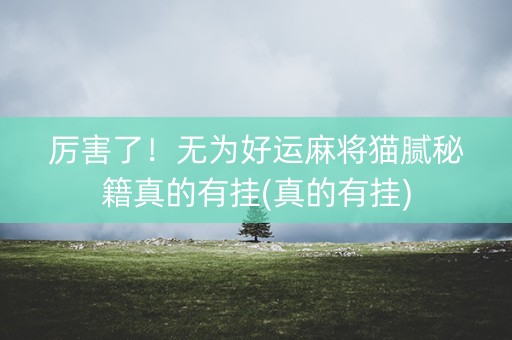厉害了！无为好运麻将猫腻秘籍真的有挂(真的有挂)