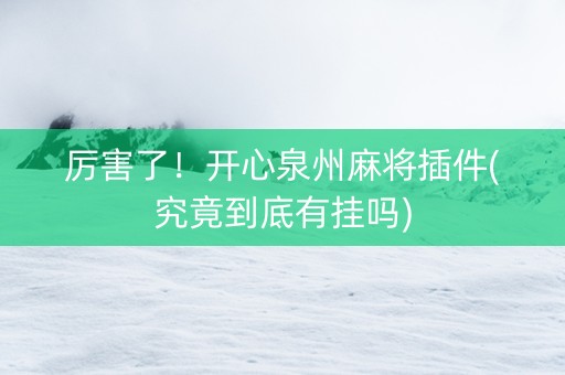 厉害了！开心泉州麻将插件(究竟到底有挂吗)