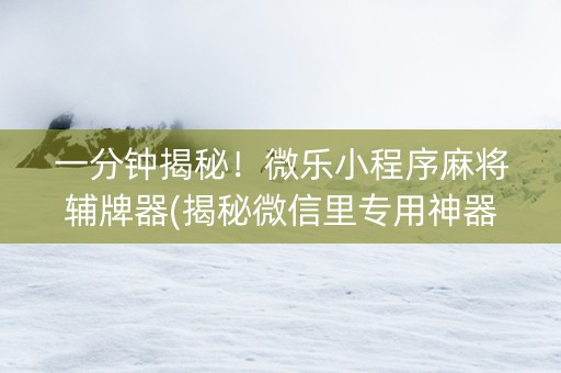 一分钟揭秘！微乐小程序麻将辅牌器(揭秘微信里专用神器下载)